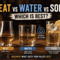 Neat vs Water vs Soda, Which Is Best?